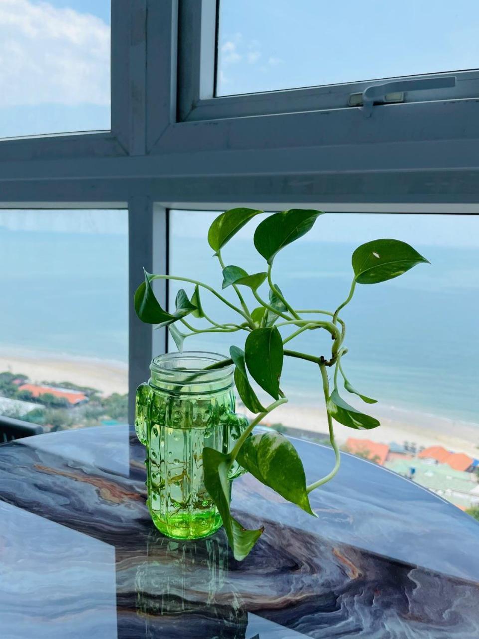 Can Ho Oasky Canh Bien Bai Sau Vung Tau Buitenkant foto